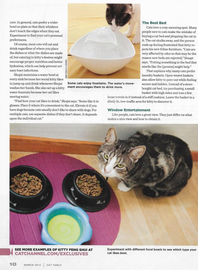 KittyFengShui3